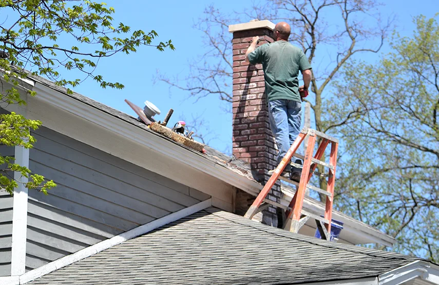 Chimney & Fireplace Inspections Services in Homewood, IL